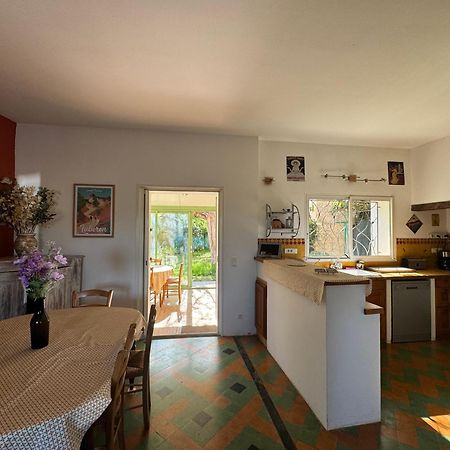 فيلا La Boissetane, Maison Provencale Avec Piscine Et Jardin, Au Pied Du Luberon Saint-Martin-de-Castillon المظهر الخارجي الصورة