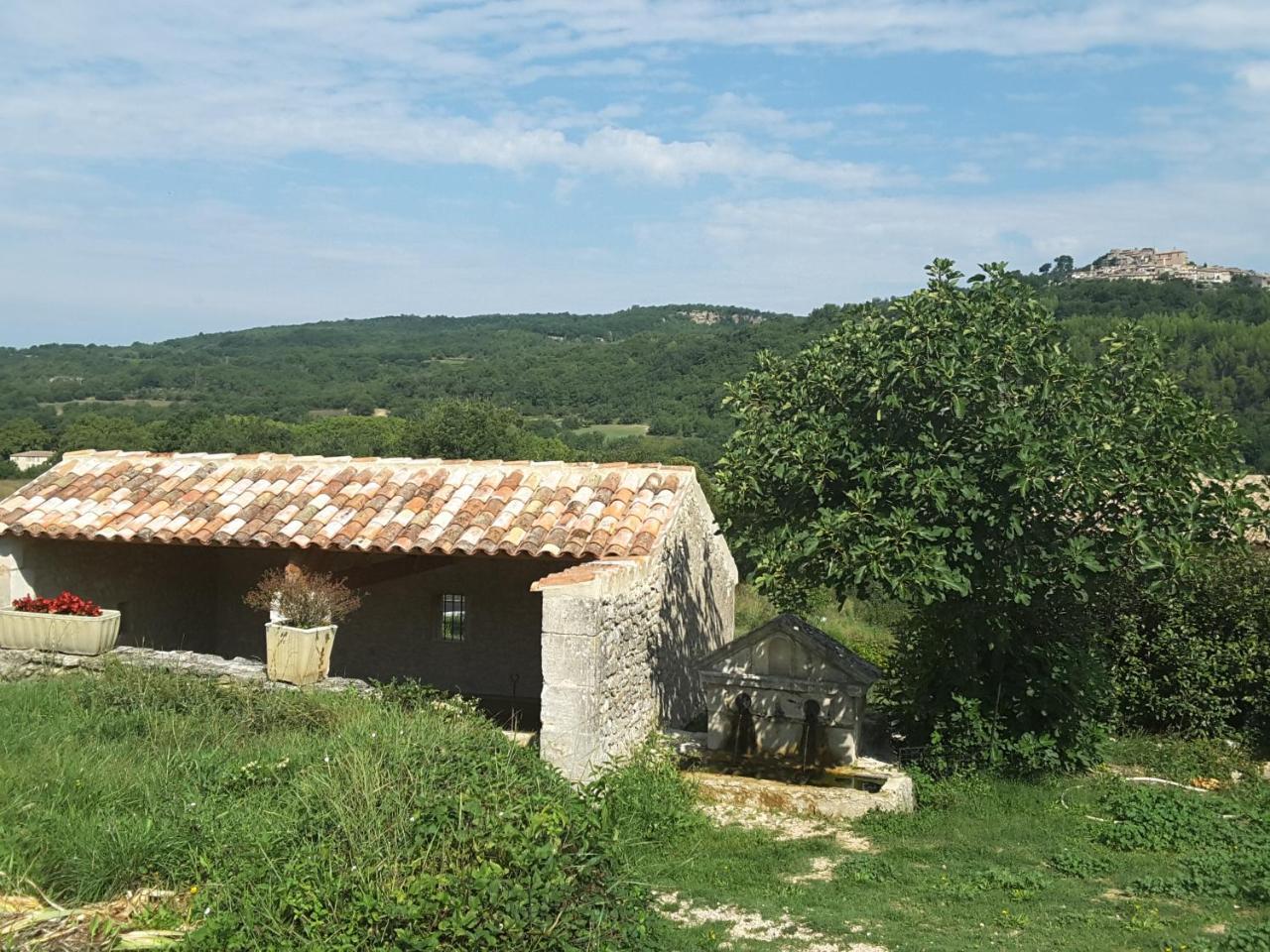 فيلا La Boissetane, Maison Provencale Avec Piscine Et Jardin, Au Pied Du Luberon Saint-Martin-de-Castillon المظهر الخارجي الصورة